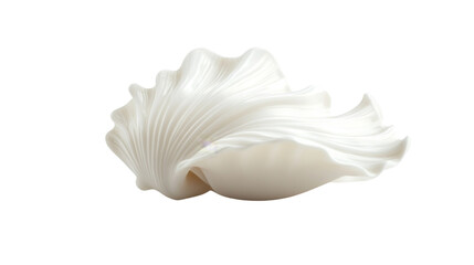 White shell transparent background