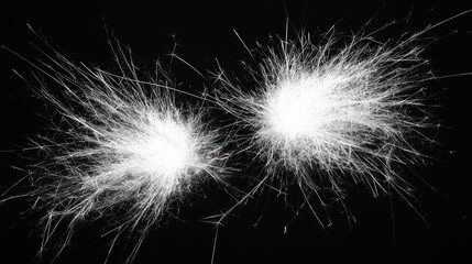 A black and white photo of two white flowers on a black background