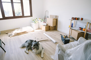 Couple packing boxes