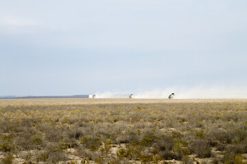 Off road vehicles in Mangystau region, Kazakhstan