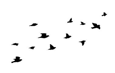 Flying birds silhouette flock. hand drawing. Not AI. Vector illustration