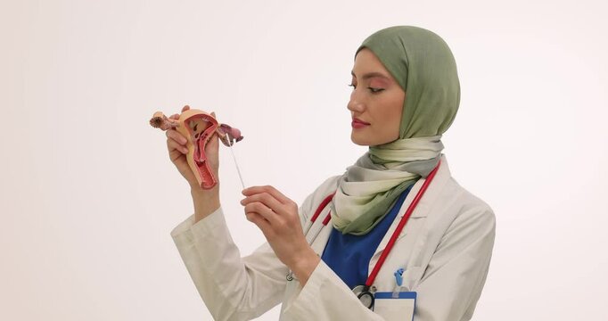 Muslim woman doctor shows uterus model with vaginal swab. Female physician in hijab shows process of collecting sample from cervix at examination