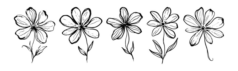 Ink flowers. Hand drawn brush daisy flower with rough brush stroke texture. Black paint chamomiles in naive primitive drawing kids style. Vector isolated floral set