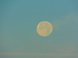 Fototapeta premium Der Mond am südlichen Himmel am Morgen