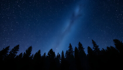 Fototapeta premium Virgo constellation in starry sky over conifer forest at night, low angle view isolated with white highlights, png