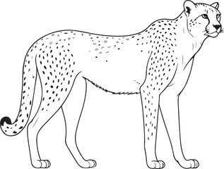 Powerful Leopard Illustration - Wildlife Line Art Sketch