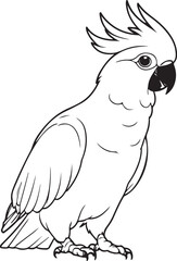 Elegant cockatoo Line Art - Wildlife Illustration