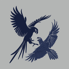 two birds fighting silhouette vector art and illustration