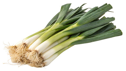 cluster of leek isolated on transparent background