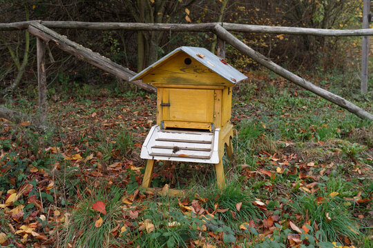 An apiary in autumn