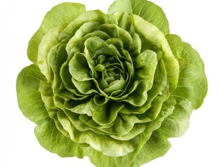 Fototapeta premium Top View of Fresh Green Butter Lettuce Isolated on White Background for Salad and Culinary Use