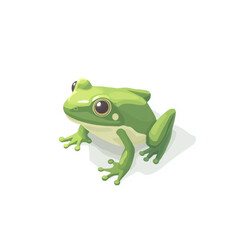 Obraz premium green frog