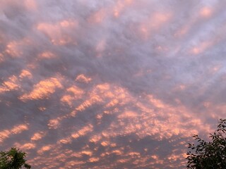 pink sunset clouds
