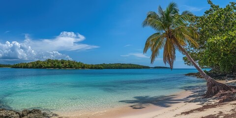 Fototapeta premium Tropical Paradise: Scenic Coral Beach Framed by Majestic Palm Trees under a Clear Blue Sky