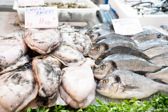 Fish market showcase