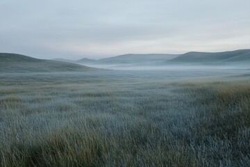 Fototapeta premium Tranquil Morning Light Over Grasslands National Park: A Serene Landscape of Fields and Skies