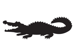 crocodile isolated on white background