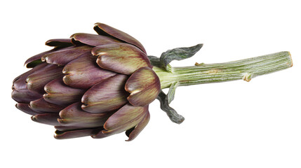 Whole artichoke with stem transparent background