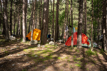 Tent camping at wood