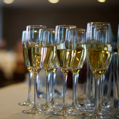 Collection of sparkling glasses filled with light golden beverage is arranged neatly on table. Ambiance suggests a festive celebration, likely during an evening event. Photo. Selective focus