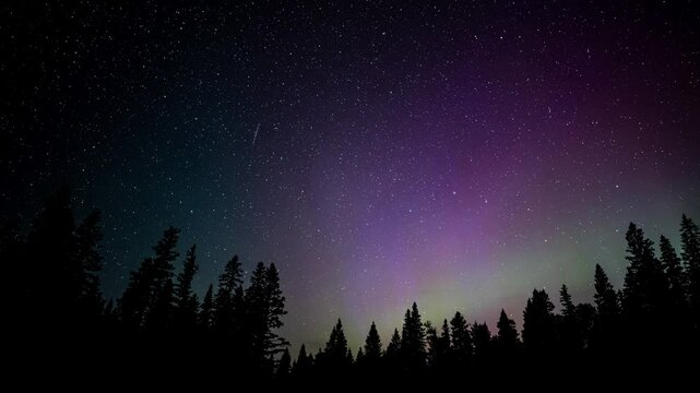 Time lapse of more than 50 meteors, stars and northern lights above silhouettes of trees
