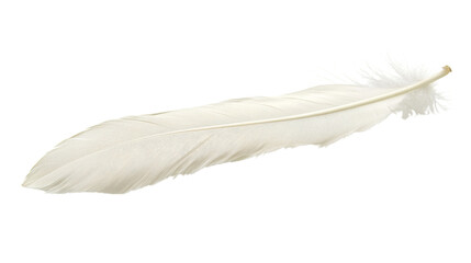White feather transparent background