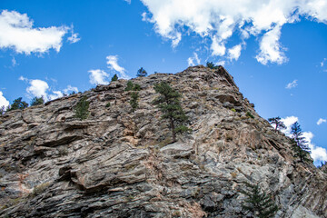 A rocky cliff with scattered evergreen trees against a bright blue sky and clouds.
