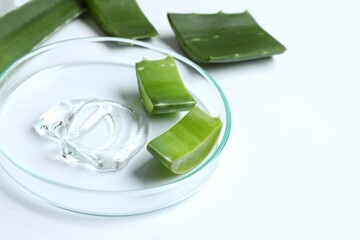 Petri dishe, cosmetic gel swatches  with aloe on white background, copy space. Bio science research, biochemistry, organic skin care concept