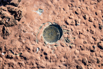 Arizona Survey Marker on Red Rock Surface in the Desert