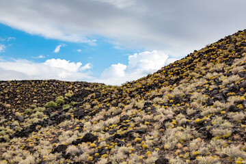 Volcanic terrain covered with desert plants at Petroglyph Monument, Albuquerque, under a blue sky with clouds