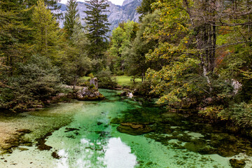A crystal-clear emerald stream flows through lush forest surrounded by the majestic Julian Alps