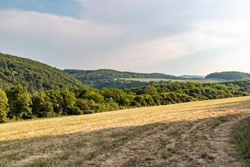 Rolling hills meet lush green forests under a bright, tranquil sky
