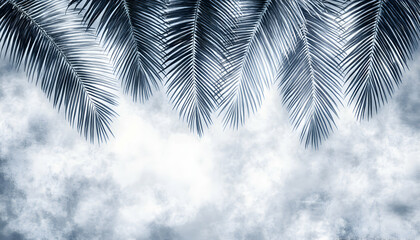 Serene blue toned palm fronds against a textured cloudy sky background. Ideal for design projects, websites, and social media.