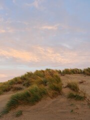 Obraz premium Landschaft an der niederländischen Nordsee 