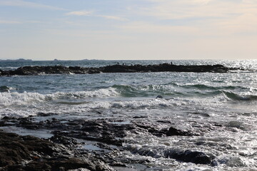 Aves, playa