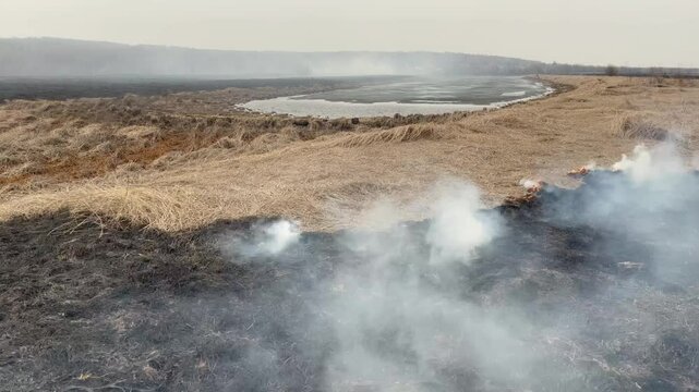 Meadows with dry grass burn with grey smoke in spring