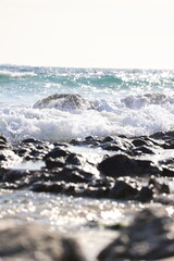 Fototapeta premium Paisajes, animales