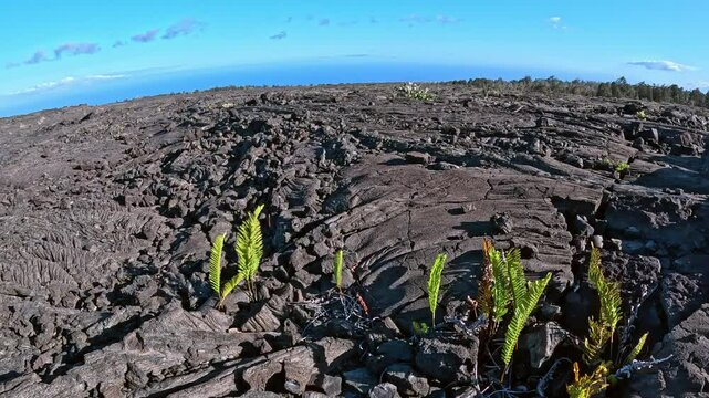 Hiking on Lava Flows Along Chain of Craters Road, Hawaii Volcanoes National Park in 4K. 