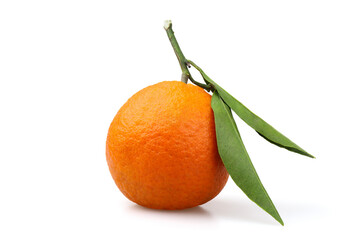 The Clementine mandarin is a hybrid of a mandarin and an orange. Clementine fruits resemble a mandarin in shape, but taste sweeter.