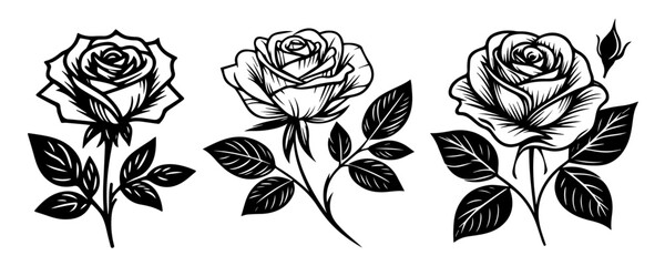 set with black and white roses vector cute nature rose love