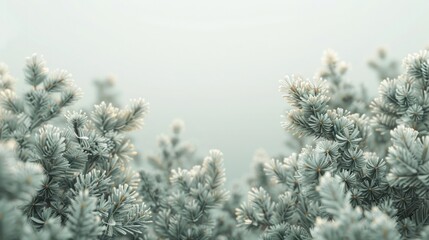 Serene Winter Wonderland A tranquil pine forest blanketed in a pristine layer of soft fluffy snow creates a peaceful and contemplative atmosphere