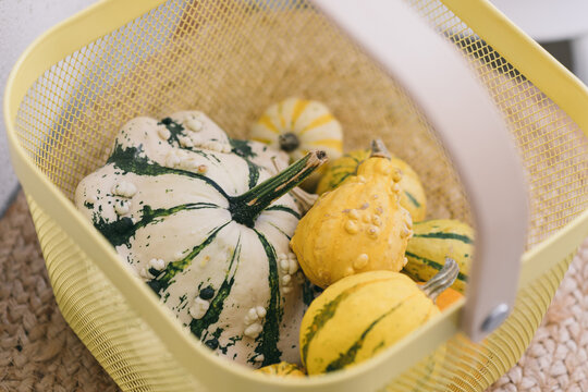 Decorative squashes on a balcony in a basket