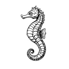Fototapeta premium Black and white seahorse illustration in detailed line art style