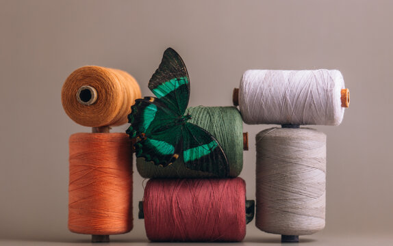 Multicolored spools of thread with a butterfly