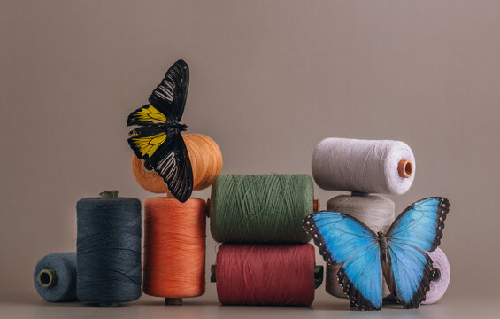 Multicolored spools of thread with a butterfly
