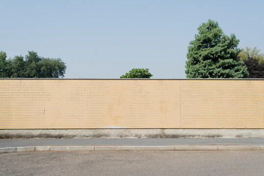 Minimalist Yellow Wall with Green Trees in Background