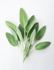 Obraz premium Fresh sage leaves on white