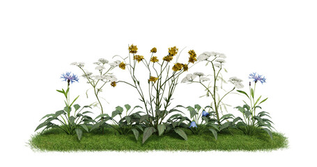 Fototapeta premium A bunch of flowers that are in the grass