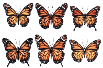 Obraz premium A collection of six colorful butterflies on a clean white surface