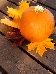Autumn pumpkin on an old wooden bridge.